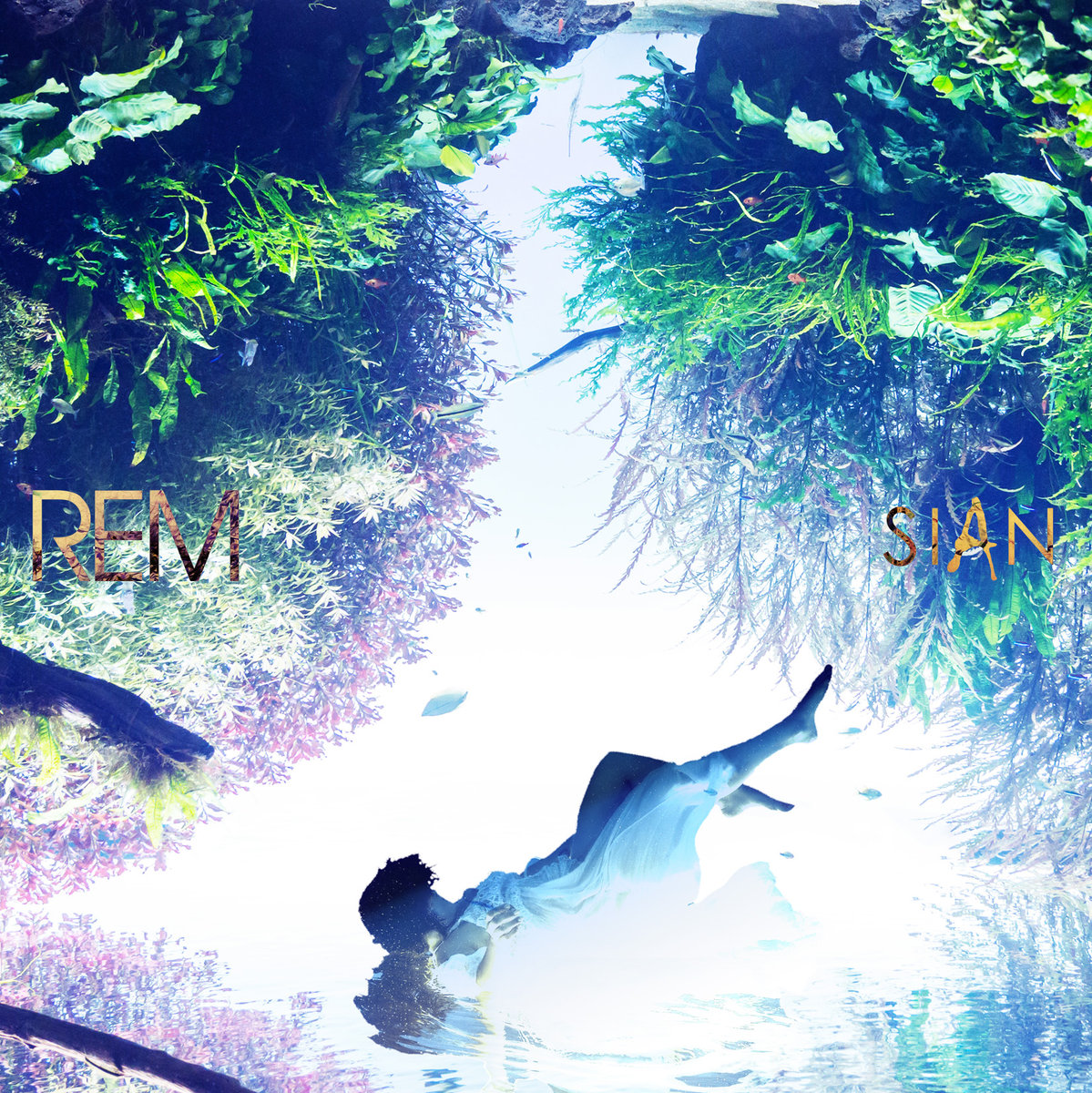 どうか忘れてくれ || Please Forget Me – Releska